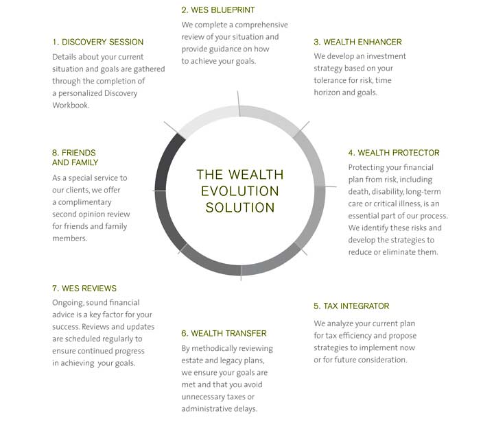 wealth-evolution-solution